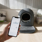 KlarKlo App auf dem Smartphone
